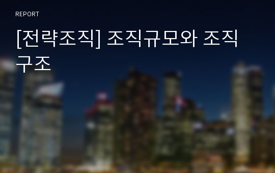 [전략조직] 조직규모와 조직구조