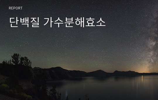 단백질 가수분해효소