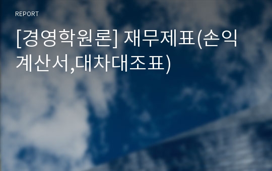 [경영학원론] 재무제표(손익계산서,대차대조표)