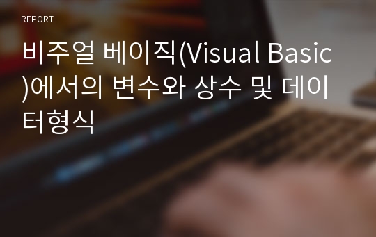 비주얼 베이직(Visual Basic)에서의 변수와 상수 및 데이터형식