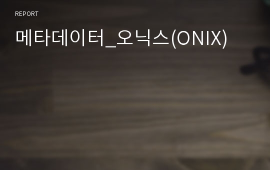 메타데이터_오닉스(ONIX)