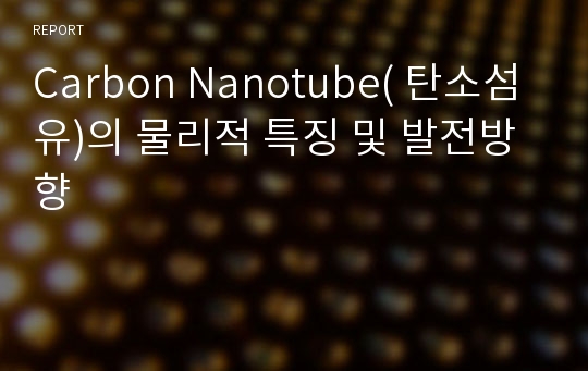 Carbon Nanotube( 탄소섬유)의 물리적 특징 및 발전방향