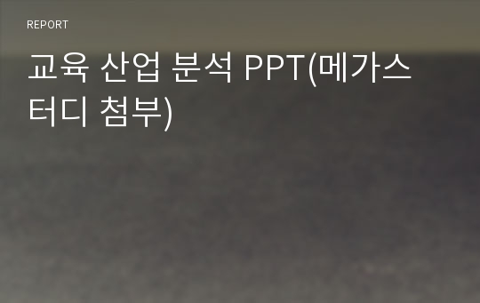 교육 산업 분석 PPT(메가스터디 첨부)