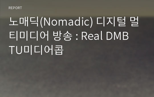 노매딕(Nomadic) 디지털 멀티미디어 방송 : Real DMB TU미디어콥