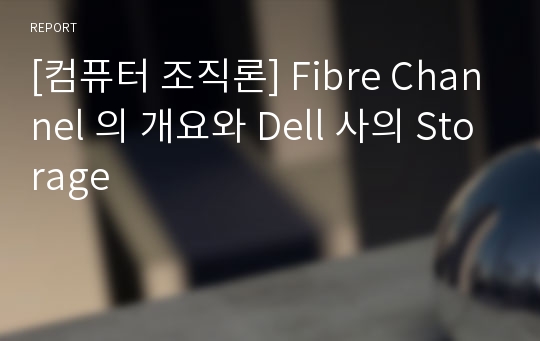 [컴퓨터 조직론] Fibre Channel 의 개요와 Dell 사의 Storage