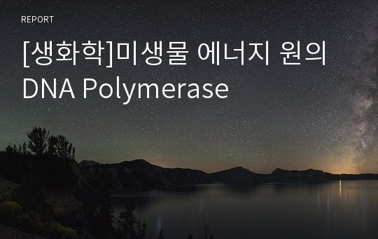 [생화학]미생물 에너지 원의 DNA Polymerase