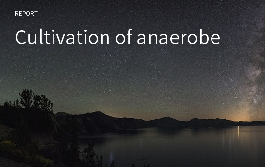 Cultivation of anaerobe