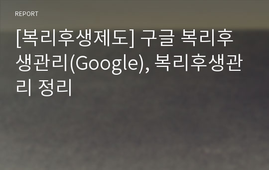 [복리후생제도] 구글 복리후생관리(Google), 복리후생관리 정리