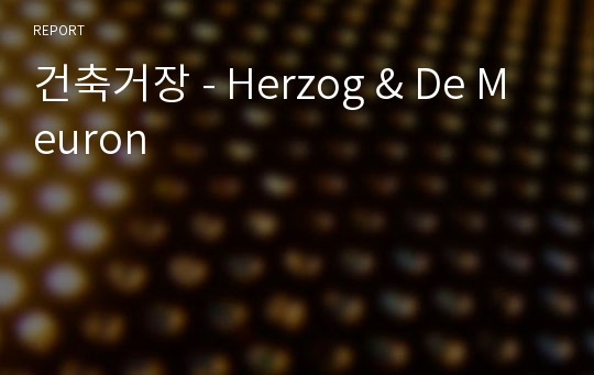 건축거장 - Herzog &amp; De Meuron