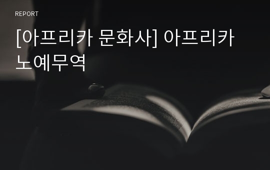 [아프리카 문화사] 아프리카 노예무역