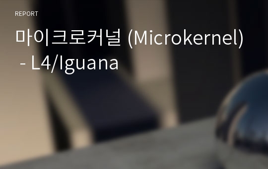 마이크로커널 (Microkernel) - L4/Iguana