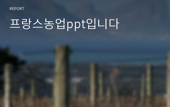 프랑스농업ppt입니다