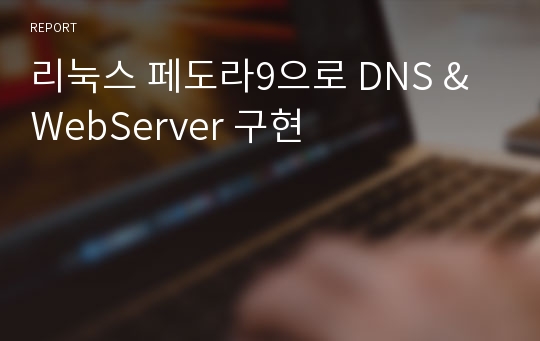 리눅스 페도라9으로 DNS &amp; WebServer 구현