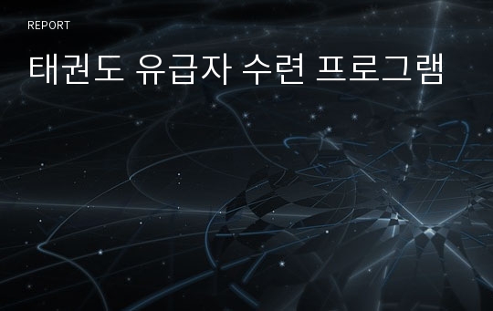 태권도 유급자 수련 프로그램