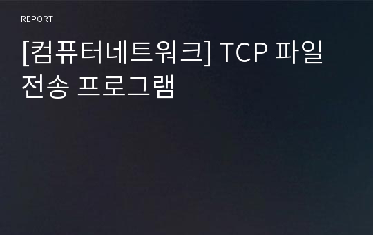 [컴퓨터네트워크] TCP 파일 전송 프로그램
