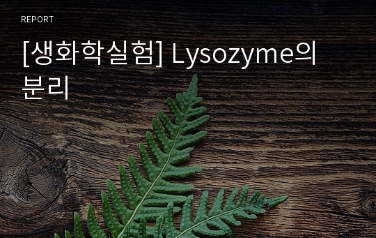[생화학실험] Lysozyme의 분리