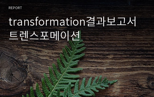 transformation결과보고서 트렌스포메이션