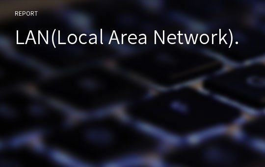 LAN(Local Area Network).