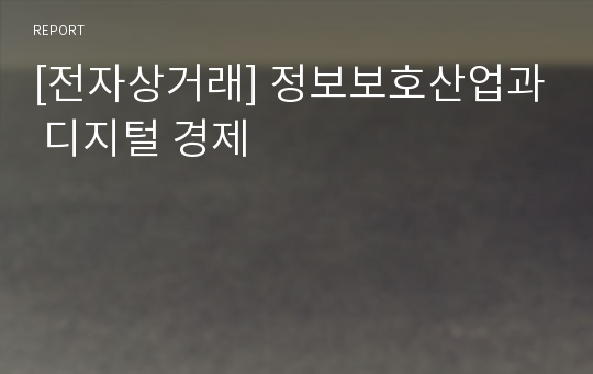 [전자상거래] 정보보호산업과 디지털 경제