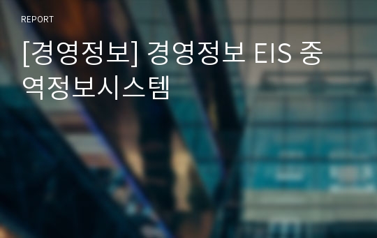 [경영정보] 경영정보 EIS 중역정보시스템