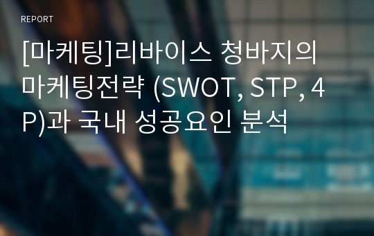 [마케팅]리바이스 청바지의 마케팅전략 (SWOT, STP, 4P)과 국내 성공요인 분석