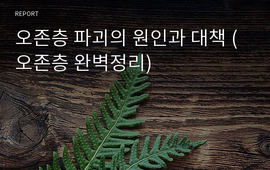 오존층 파괴의 원인과 대책 (오존층 완벽정리)