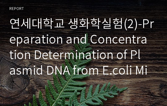 연세대학교 생화학실험(2)-Preparation and Concentration Determination of Plasmid DNA from E.coli Midi-Scale Preparation