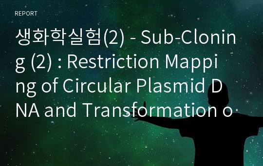 생화학실험(2) - Sub-Cloning (2) : Restriction Mapping of Circular Plasmid DNA and Transformation of ligated Plasmid DNA