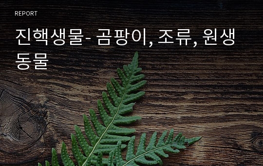 진핵생물- 곰팡이, 조류, 원생동물