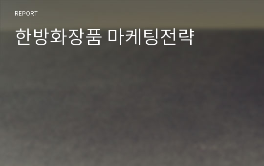 한방화장품 마케팅전략