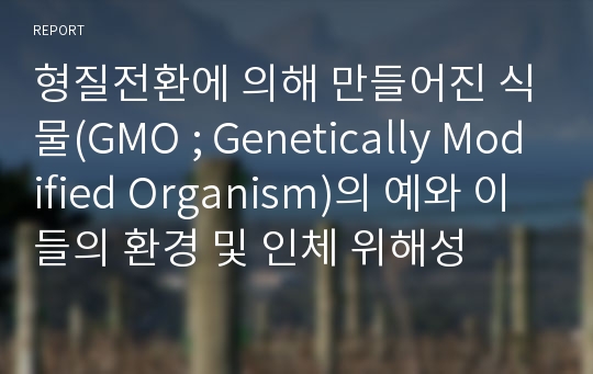 형질전환에 의해 만들어진 식물(GMO ; Genetically Modified Organism)의 예와 이들의 환경 및 인체 위해성