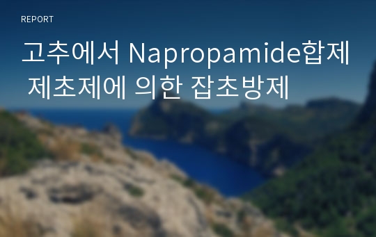 고추에서 Napropamide합제 제초제에 의한 잡초방제