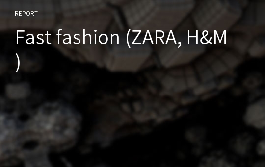 Fast fashion (ZARA, H&amp;M)