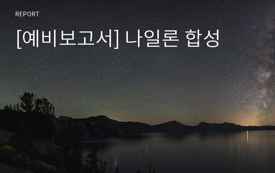 [예비보고서] 나일론 합성