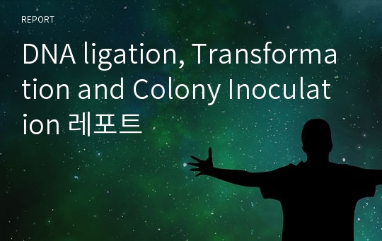 DNA ligation, Transformation and Colony Inoculation 레포트