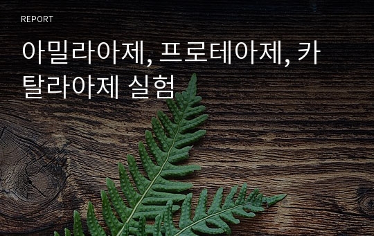 아밀라아제, 프로테아제, 카탈라아제 실험