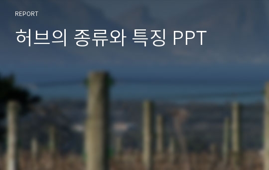 허브의 종류와 특징 PPT