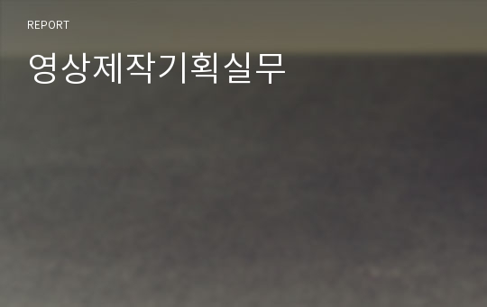 영상제작기획실무