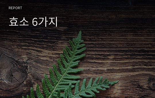 효소 6가지