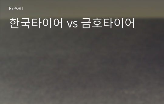 한국타이어 vs 금호타이어