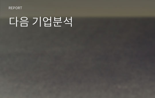 다음 기업분석