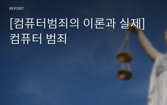 [컴퓨터범죄의 이론과 실제] 컴퓨터 범죄