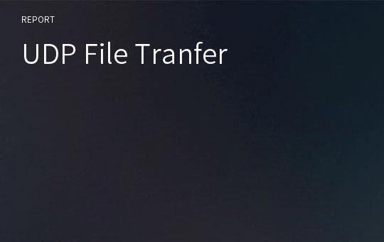 UDP File Tranfer