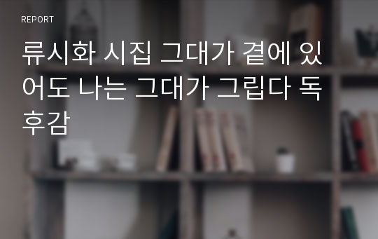 류시화 시집 그대가 곁에 있어도 나는 그대가 그립다 독후감