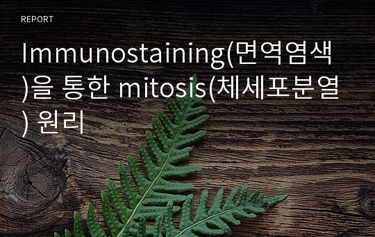 Immunostaining(면역염색)을 통한 mitosis(체세포분열) 원리