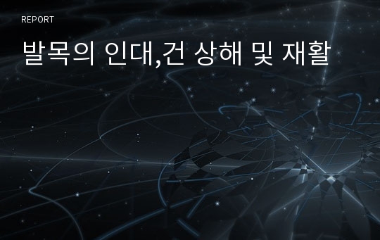 발목의 인대,건 상해 및 재활