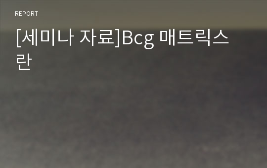 [세미나 자료]Bcg 매트릭스란