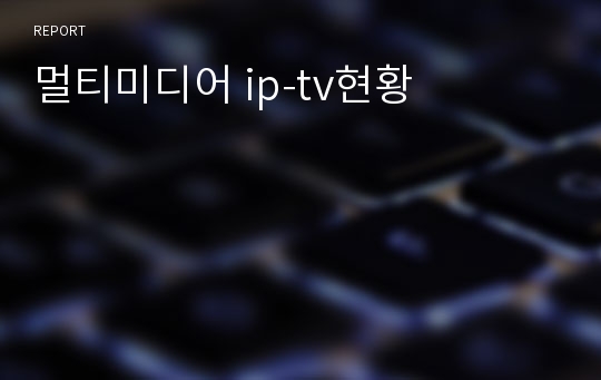 멀티미디어 ip-tv현황