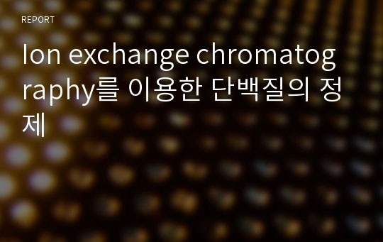 Ion exchange chromatography를 이용한 단백질의 정제