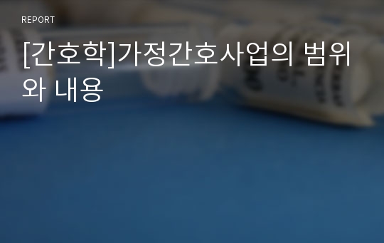 [간호학]가정간호사업의 범위와 내용